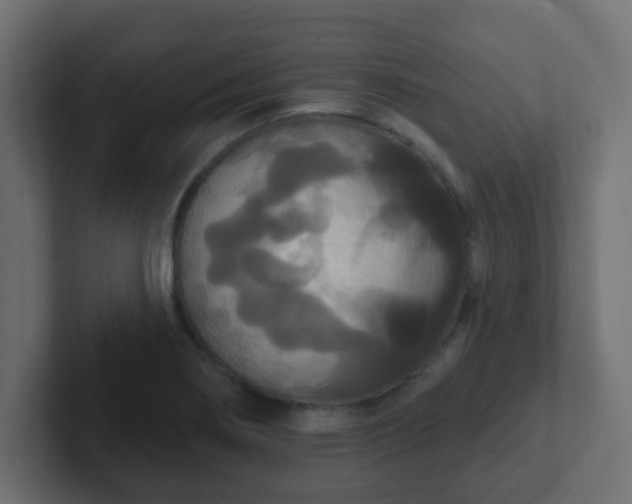 X0000102811274200808251102