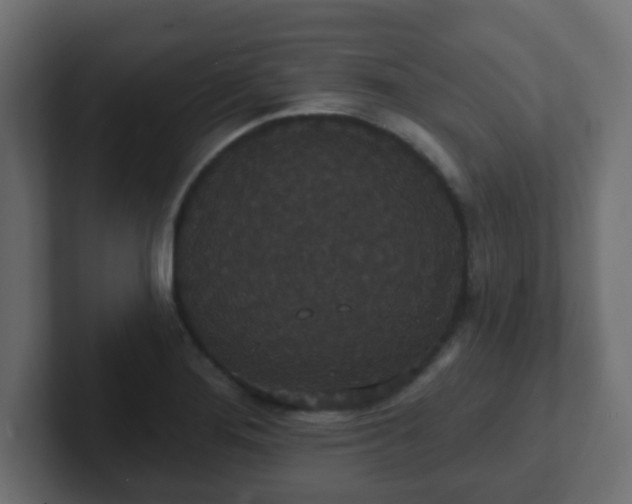 X0000102811276200808251102