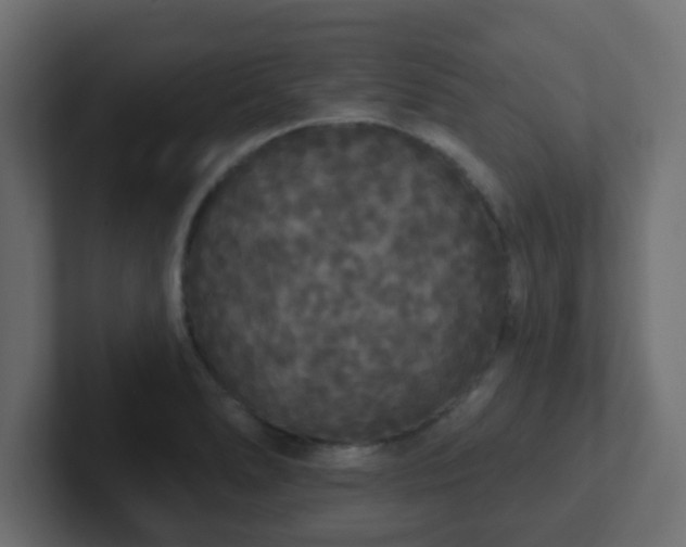 X0000102811278200808251102