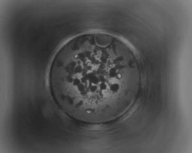 X0000102811279200808251102