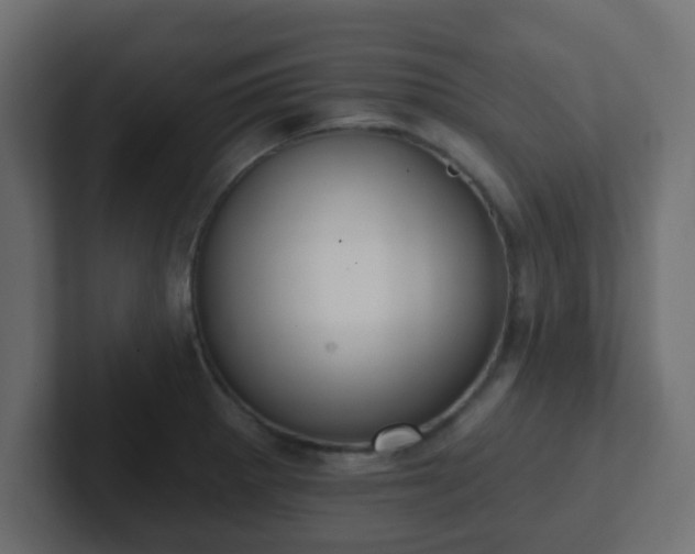 X0000102811281200808251102