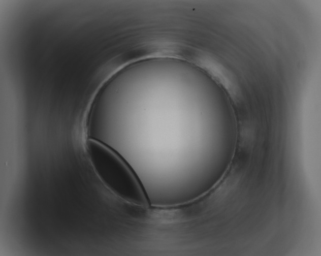 X0000102811284200808251102