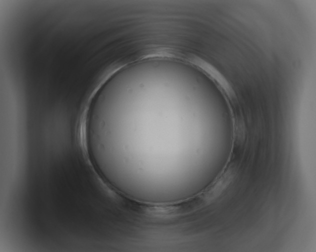 X0000102811290200808251101