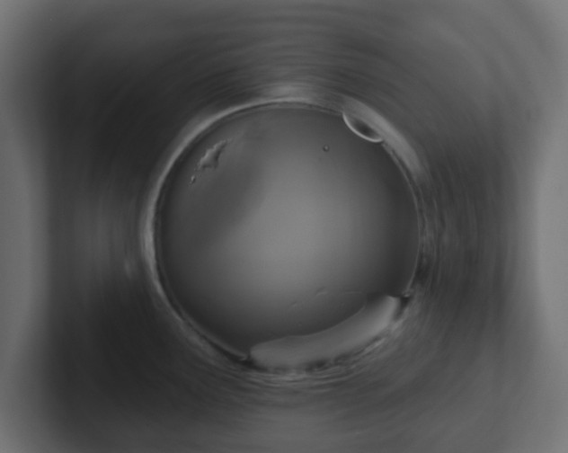 X0000102811291200808251101