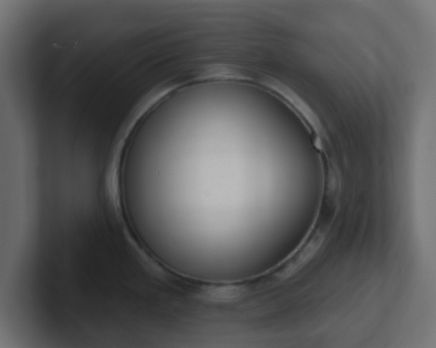 X0000102811293200808251101