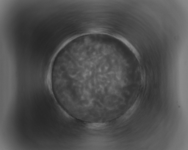 X0000102811294200808251101