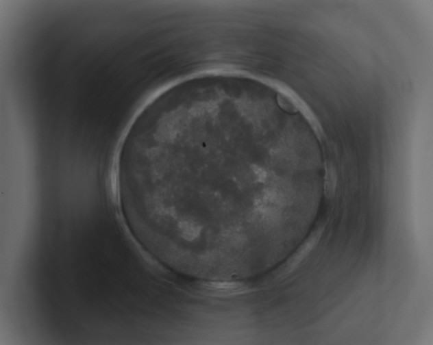 X0000102811295200808251101