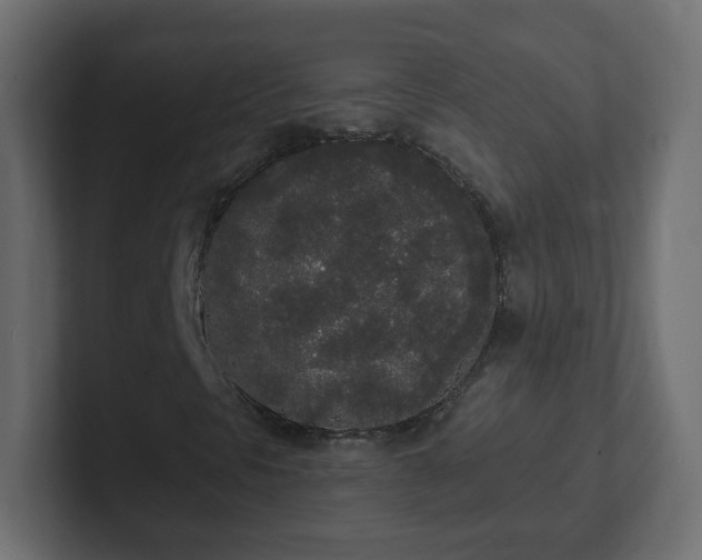 X0000102811297200808251101