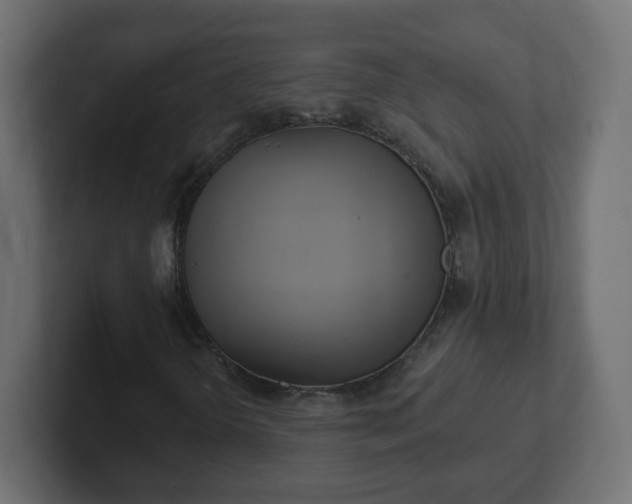 X0000102811298200808251101