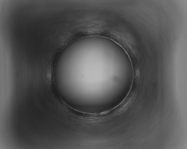 X0000102811300200808251101