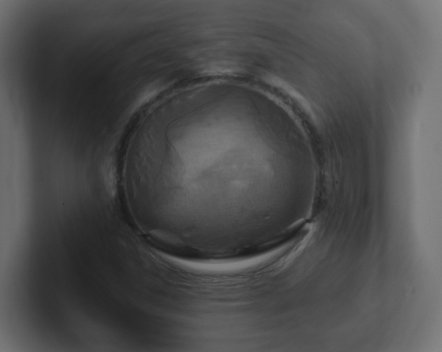 X0000102811306200808251101