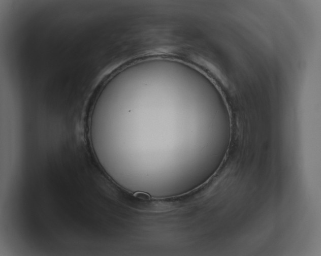 X0000102811308200808251101