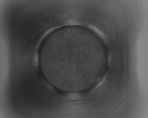 X0000102811310200808251101