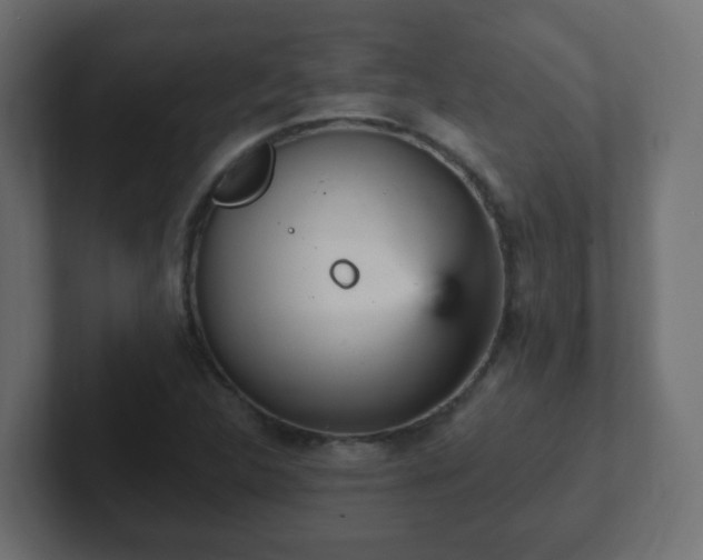 X0000102811312200808251101