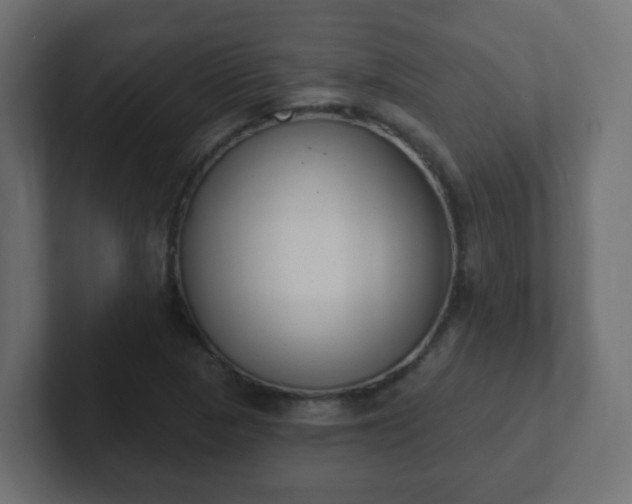 X0000102811313200808251101