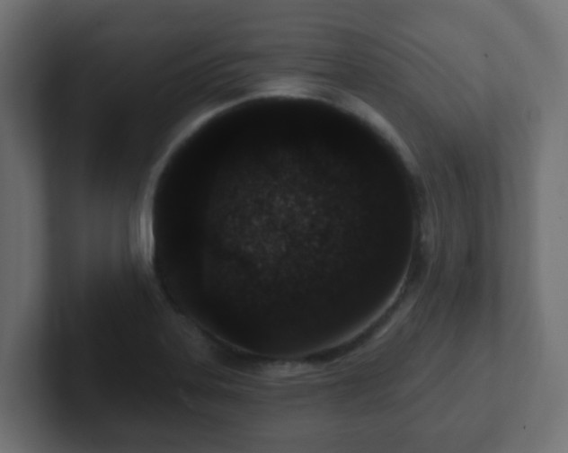 X0000102811323200808251101