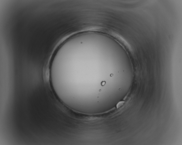 X0000102811324200808251101