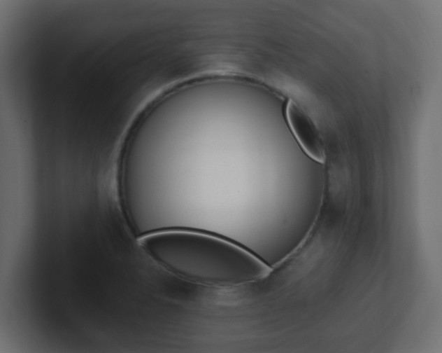 X0000102811326200808251101