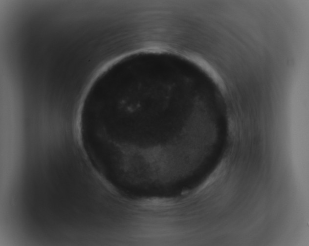 X0000102811327200808251101