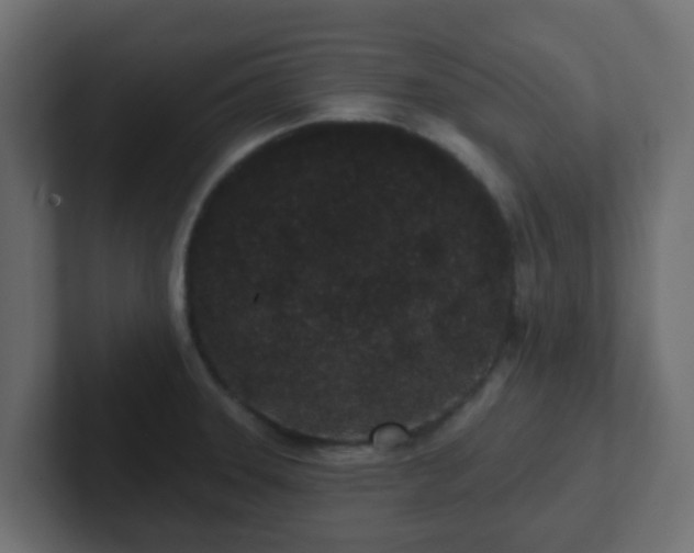 X0000102811331200808251101