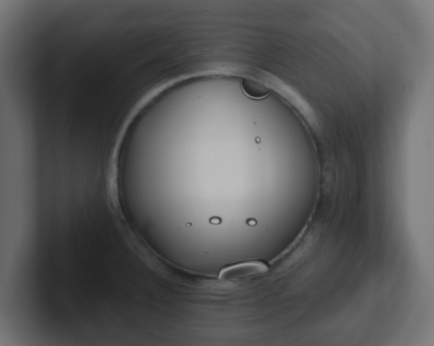 X0000102811332200808251101