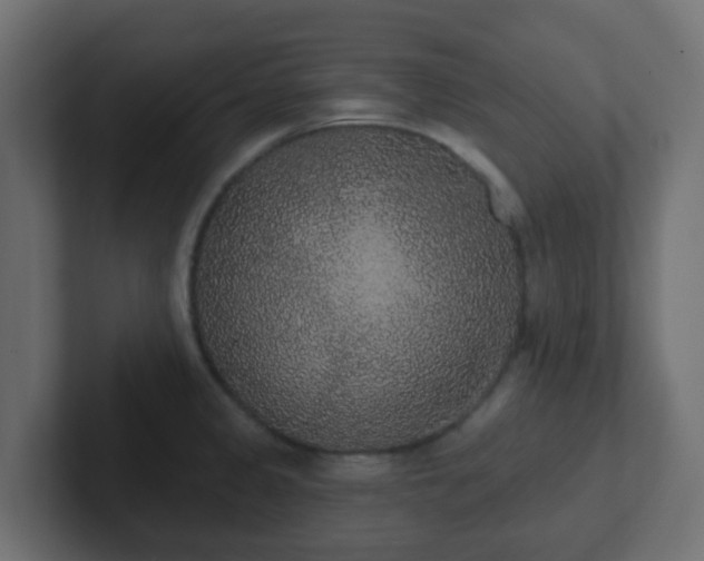 X0000102811333200808251101