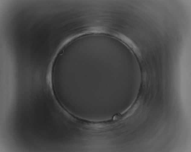 X0000102811334200808251101