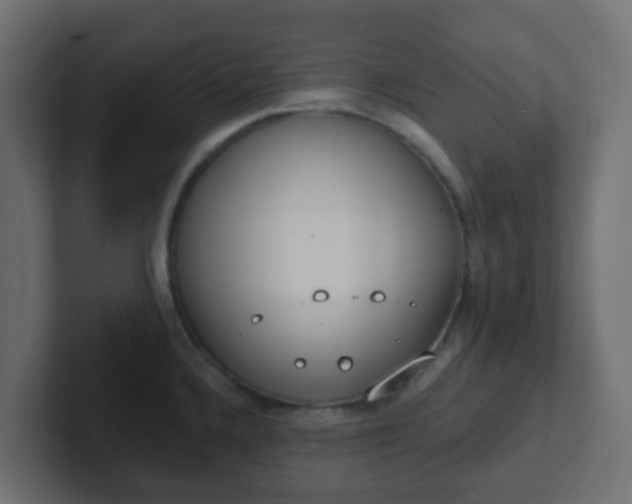 X0000102811336200808251101