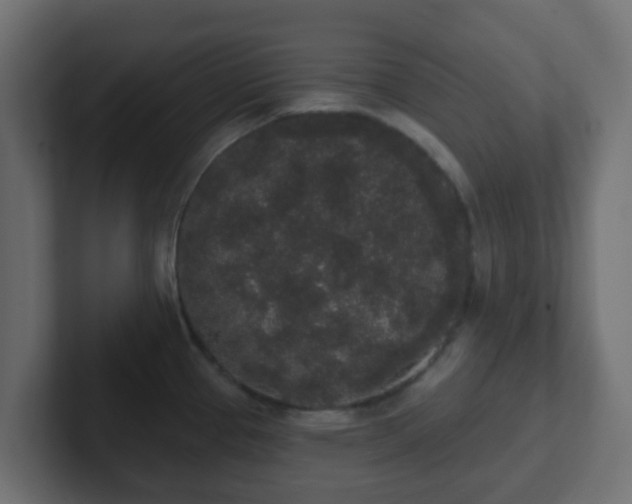 X0000102811337200808251101