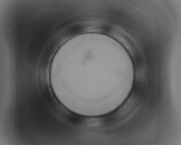 X0000102811338200808251101