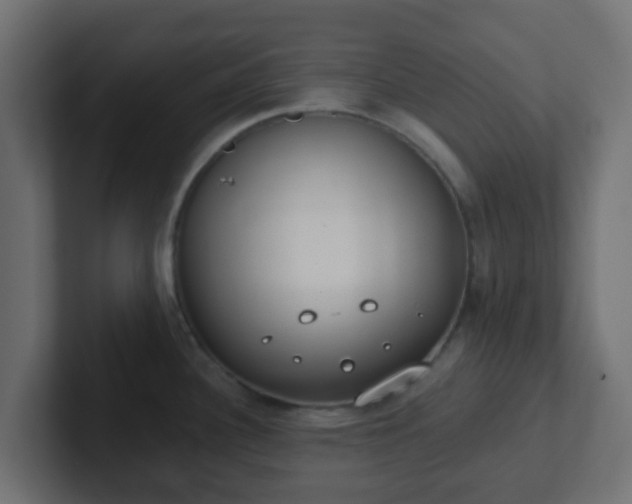 X0000102811340200808251101