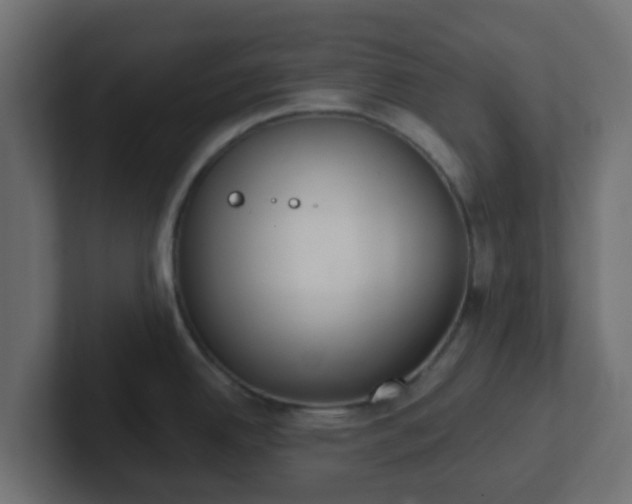 X0000102811342200808251101