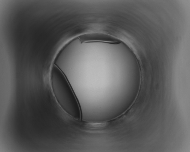 X0000102811344200808251101