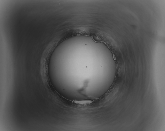 X0000102811345200808251101