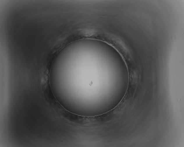 X0000102811349200808251101