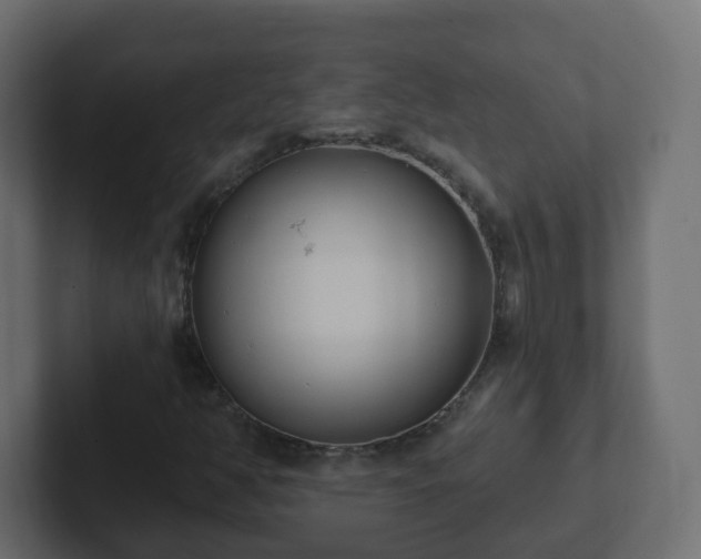 X0000102811350200808251101