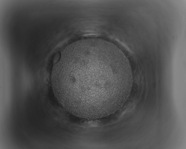 X0000102811351200808251101