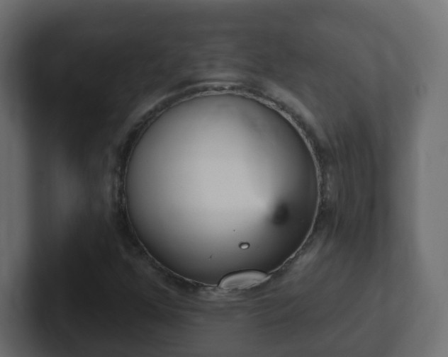 X0000102811352200808251101