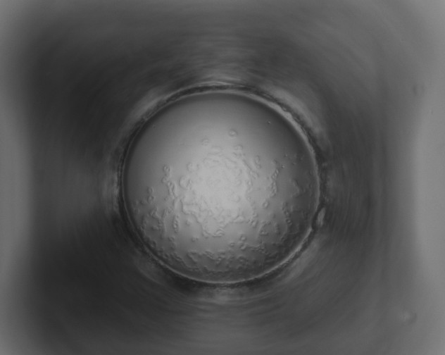 X0000102811355200808251101