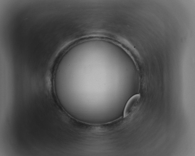 X0000102811360200808251100