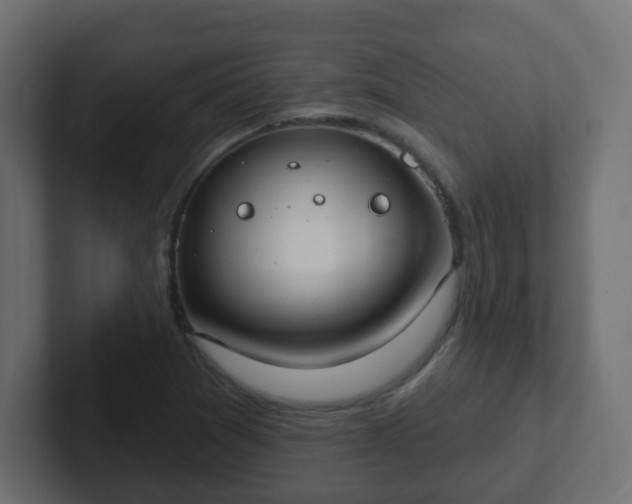 X0000102811361200808251100