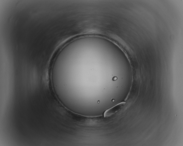 X0000102811364200808251100