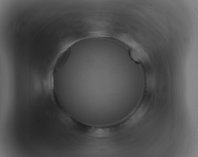 X0000102811365200808251100