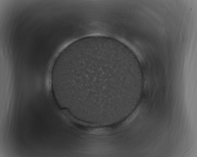 X0000102811367200808251100