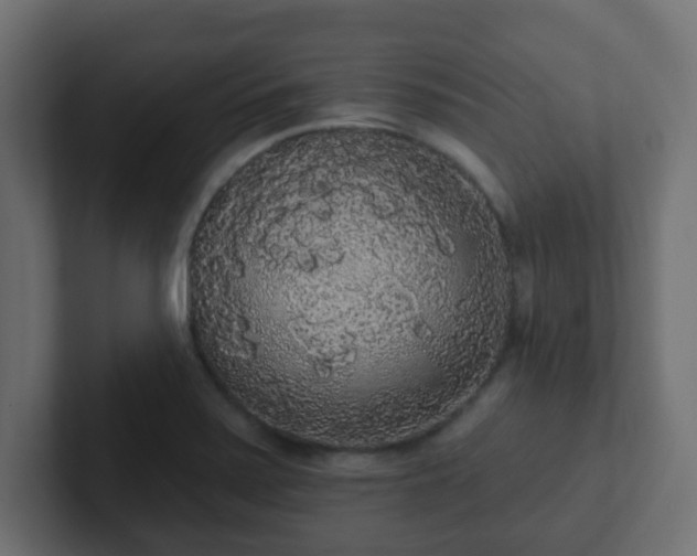 X0000102811371200808251100