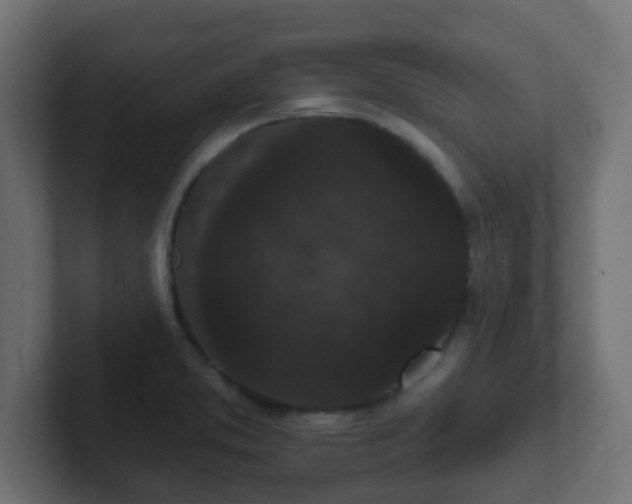 X0000102811373200808251100