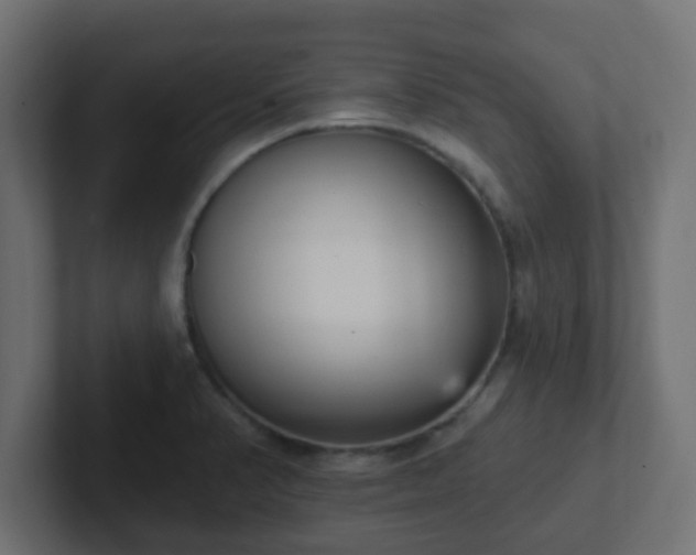 X0000102811374200808251100