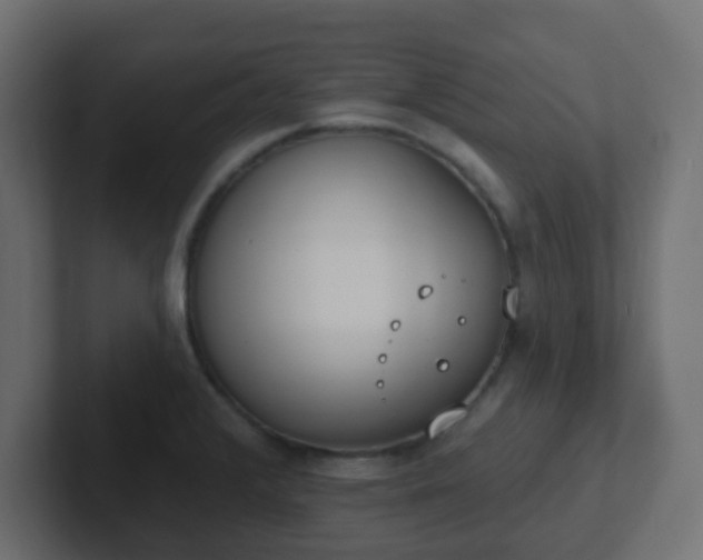 X0000102811376200808251100