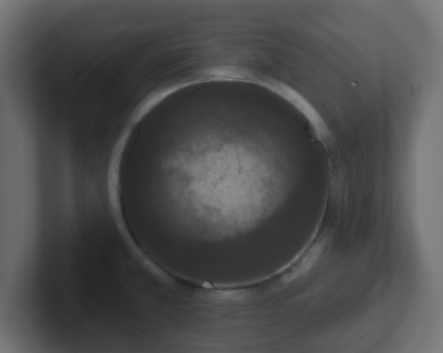 X0000102811381200808251100