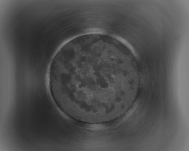 X0000102811383200808251100